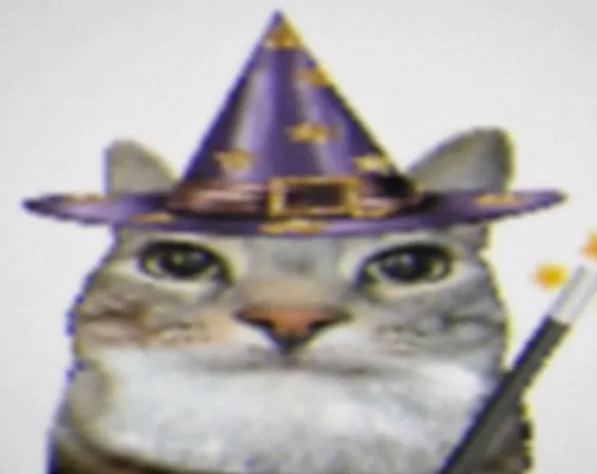 catperson logo
